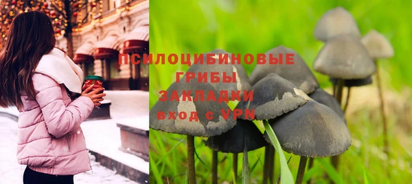 не бодяженный Абаза